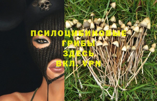 кокс Баксан
